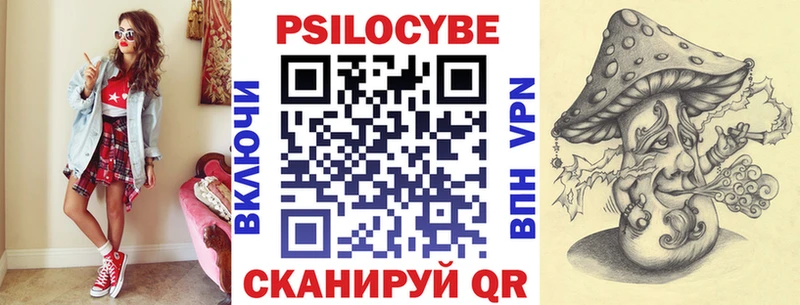 Псилоцибиновые грибы Psilocybine cubensis  Сясьстрой 